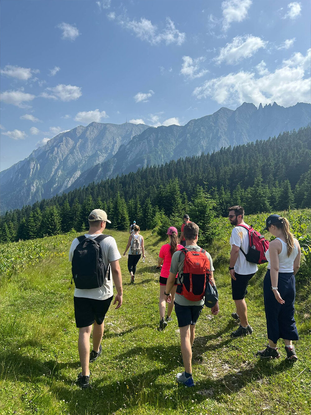 The team hiking a mountain trail in the Carpathians